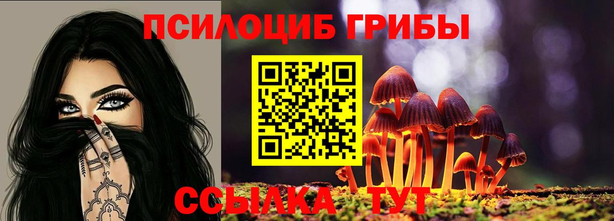 Корсаков  Псилоцибиновые грибы MAGIC MUSHROOMS  Вход с VPN  Галлюциногенные грибы GOLDEN TEACHER 